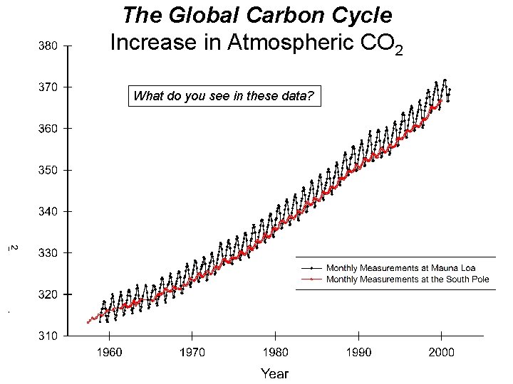 The Global Carbon Cycle Increase in Atmospheric CO 2 What do you see in