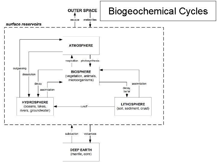 Biogeochemical Cycles 