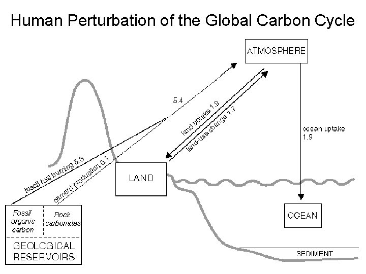 Human Perturbation of the Global Carbon Cycle 