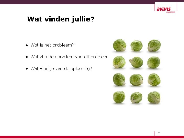 Wat vinden jullie? • Wat is het probleem? • Wat zijn de oorzaken van
