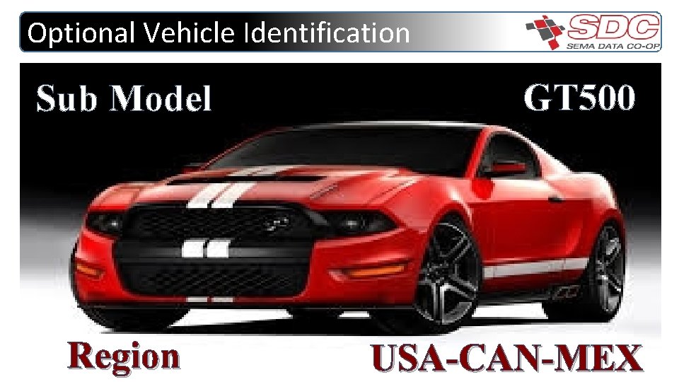 Optional Vehicle Identification Sub Model Region GT 500 USA-CAN-MEX 
