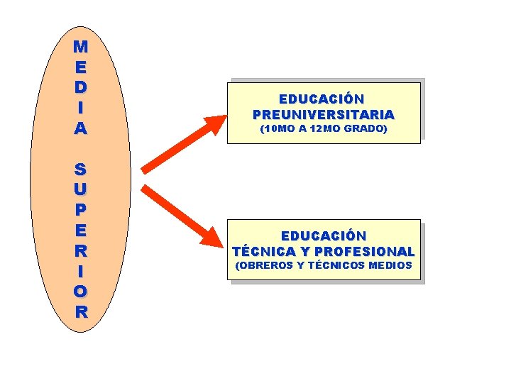 M E D I A S U P E R I O R EDUCACIÓN