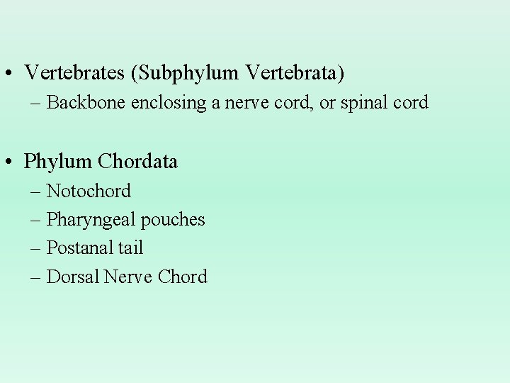  • Vertebrates (Subphylum Vertebrata) – Backbone enclosing a nerve cord, or spinal cord