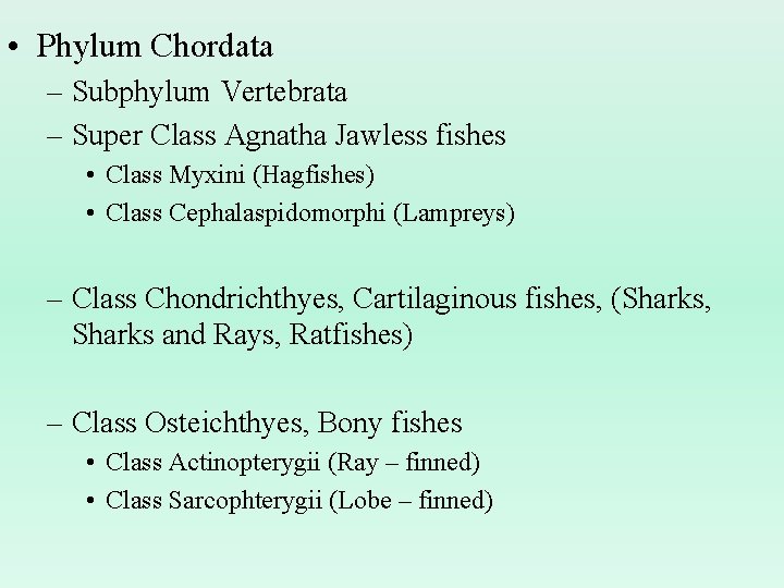 • Phylum Chordata – Subphylum Vertebrata – Super Class Agnatha Jawless fishes • • Phylum Chordata – Subphylum Vertebrata – Super Class Agnatha Jawless fishes •