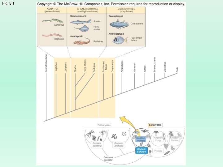 Fig. 8. 1 Fig. 8. 1