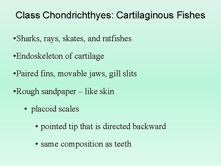 Class Chondrichthyes: Cartilaginous Fishes • Sharks, rays, skates, and ratfishes • Endoskeleton of cartilage Class Chondrichthyes: Cartilaginous Fishes • Sharks, rays, skates, and ratfishes • Endoskeleton of cartilage