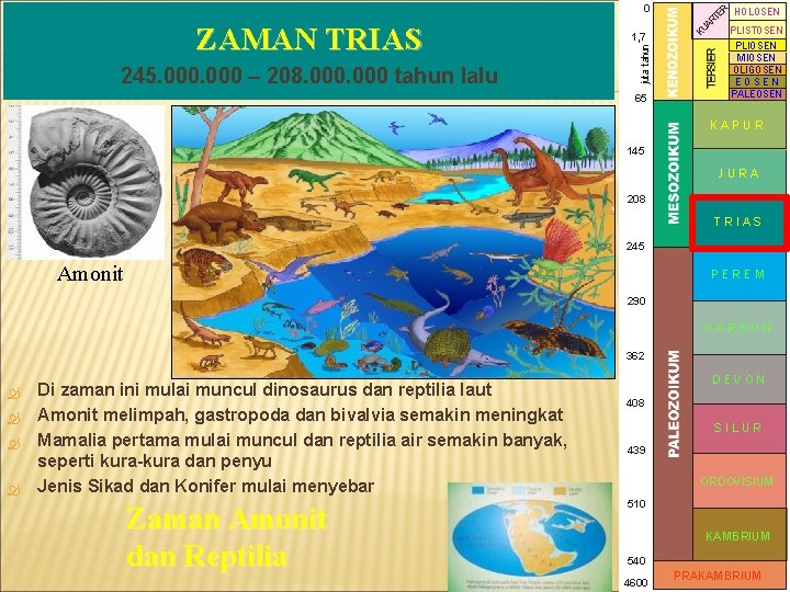 0 245. 000 – 208. 000 tahun lalu juta tahun ZAMAN TRIAS 1, 7