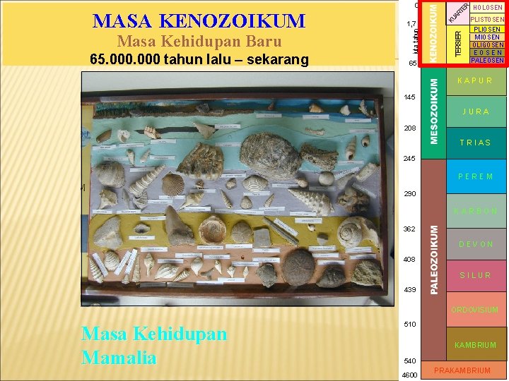 0 Masa Kehidupan Baru 65. 000 tahun lalu – sekarang 1, 7 juta tahun