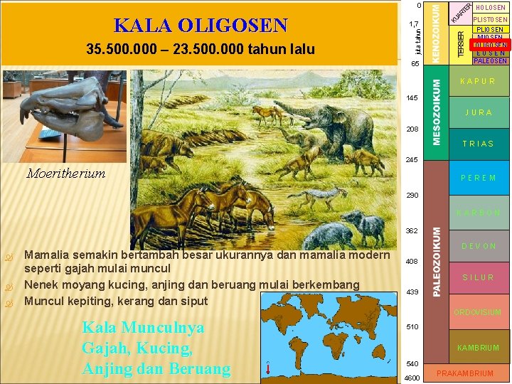 0 35. 500. 000 – 23. 500. 000 tahun lalu juta tahun KALA OLIGOSEN