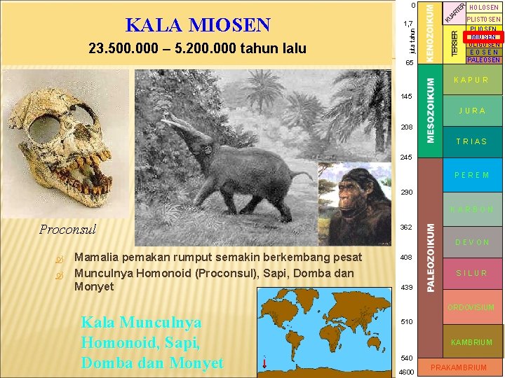 0 23. 500. 000 – 5. 200. 000 tahun lalu juta tahun KALA MIOSEN