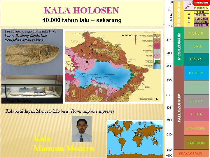 0 10. 000 tahun lalu – sekarang juta tahun KALA HOLOSEN 1, 7 65