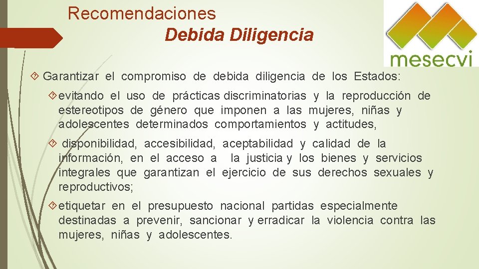 Recomendaciones Debida Diligencia Garantizar el compromiso de debida diligencia de los Estados: evitando el