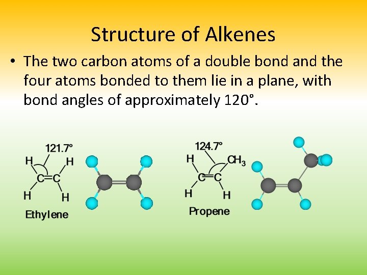 Structure of Alkenes • The two carbon atoms of a double bond and the