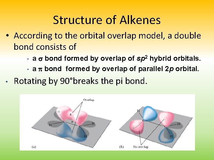 Structure of Alkenes • According to the orbital overlap model, a double bond consists