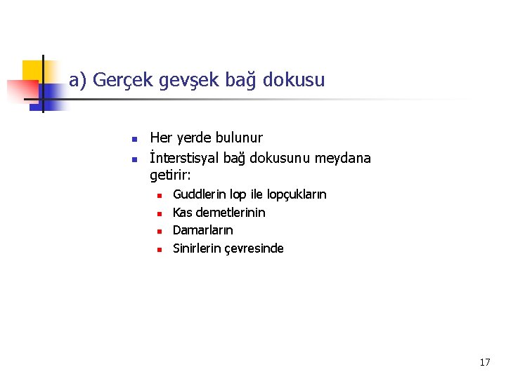 a) Gerçek gevşek bağ dokusu n n Her yerde bulunur İnterstisyal bağ dokusunu meydana