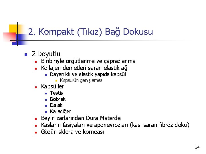 2. Kompakt (Tıkız) Bağ Dokusu n 2 boyutlu n n Biribiriyle örgütlenme ve çaprazlanma