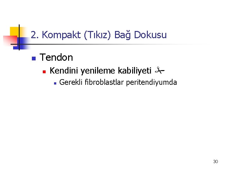 2. Kompakt (Tıkız) Bağ Dokusu n Tendon n Kendini yenileme kabiliyeti n Gerekli fibroblastlar