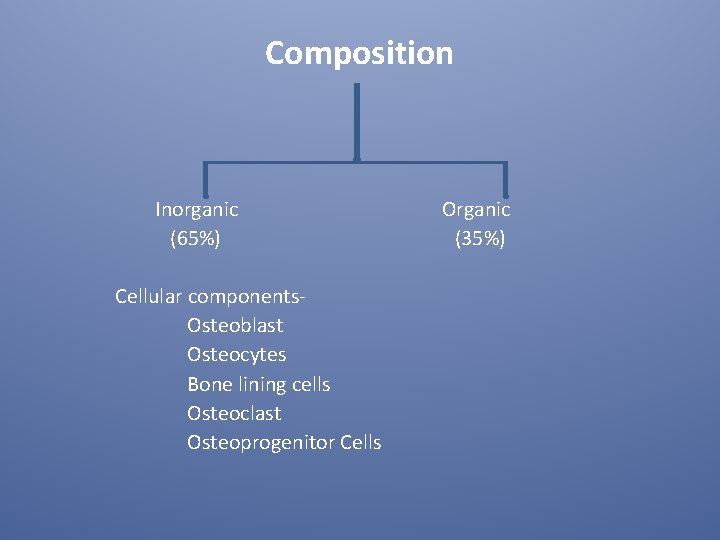 Composition Inorganic (65%) Cellular components. Osteoblast Osteocytes Bone lining cells Osteoclast Osteoprogenitor Cells Organic