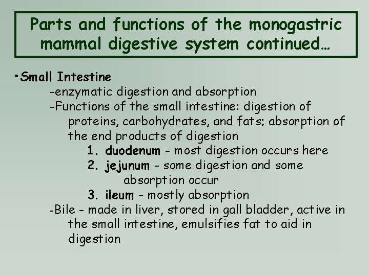 Parts and functions of the monogastric mammal digestive system continued… • Small Intestine -enzymatic