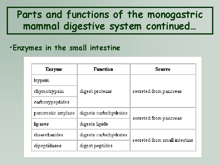 Parts and functions of the monogastric mammal digestive system continued… • Enzymes in the