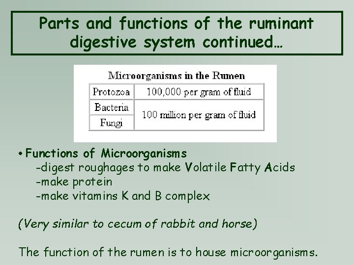 Parts and functions of the ruminant digestive system continued… • Functions of Microorganisms -digest