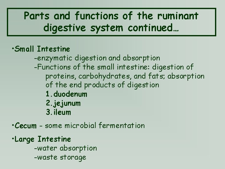 Parts and functions of the ruminant digestive system continued… • Small Intestine -enzymatic digestion