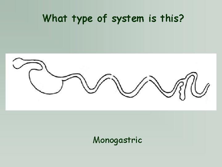 What type of system is this? Monogastric 