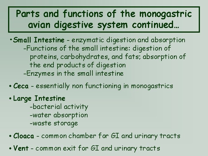 Parts and functions of the monogastric avian digestive system continued… • Small Intestine -