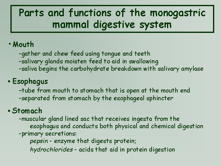 Parts and functions of the monogastric mammal digestive system • Mouth -gather and chew