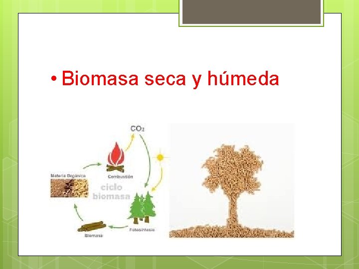  • Biomasa seca y húmeda 