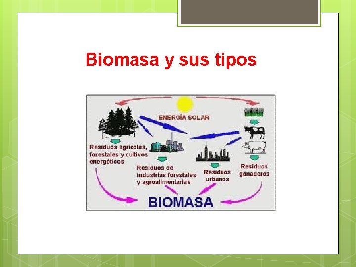 Biomasa y sus tipos 