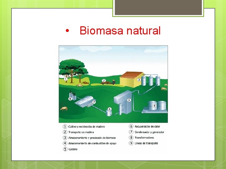  • Biomasa natural 