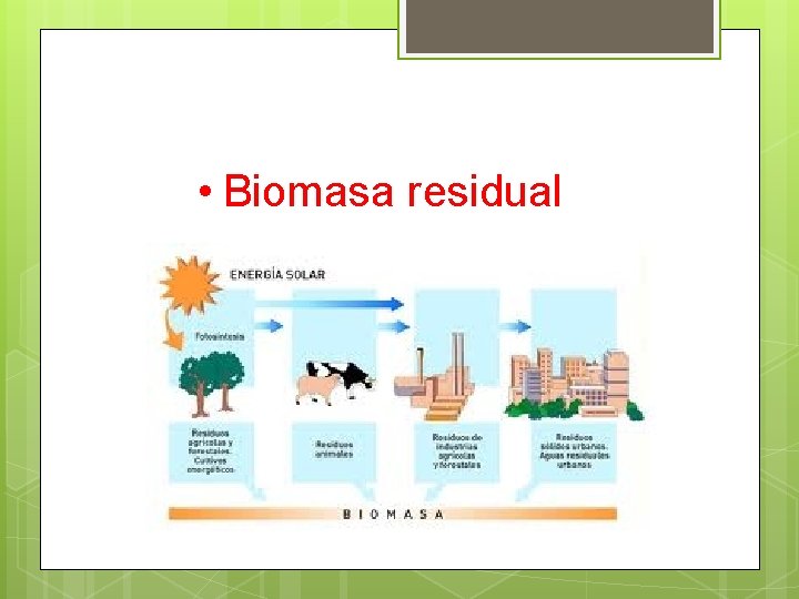  • Biomasa residual 