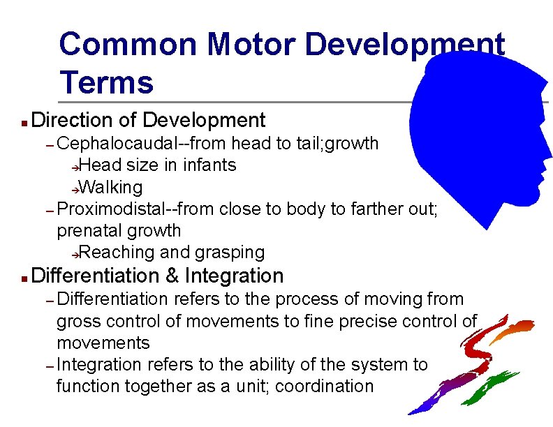 Common Motor Development Terms n Direction of Development – Cephalocaudal--from head to tail; growth