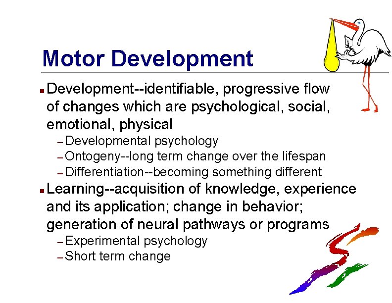Motor Development n Development--identifiable, progressive flow of changes which are psychological, social, emotional, physical