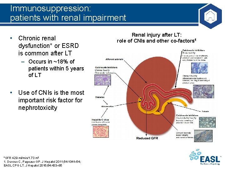 Immunosuppression: patients with renal impairment • Chronic renal dysfunction* or ESRD is common after