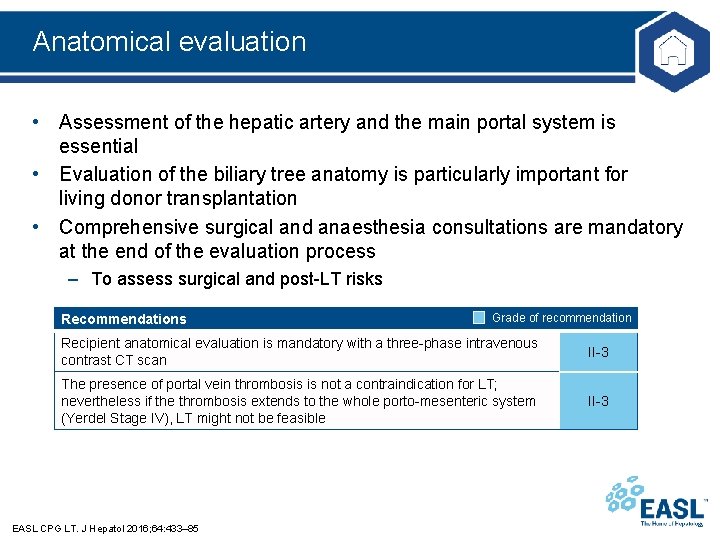 Anatomical evaluation • Assessment of the hepatic artery and the main portal system is