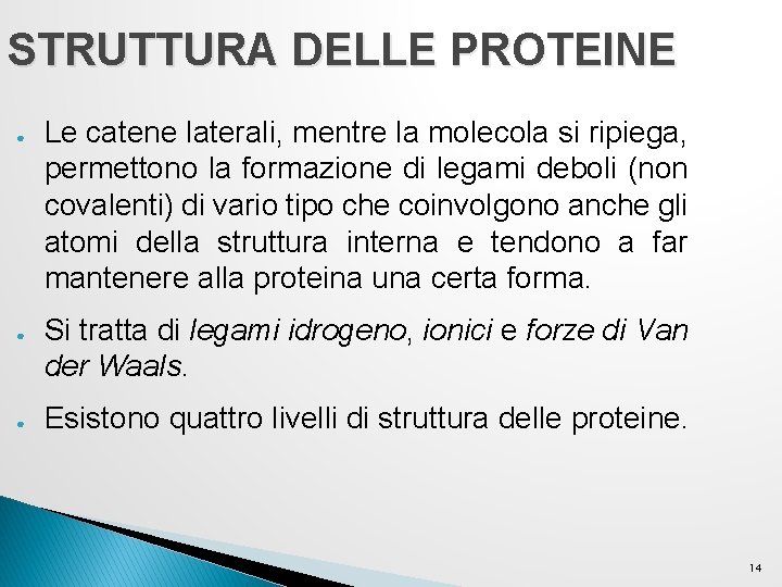 STRUTTURA DELLE PROTEINE ● ● ● Le catene laterali, mentre la molecola si ripiega, STRUTTURA DELLE PROTEINE ● ● ● Le catene laterali, mentre la molecola si ripiega,