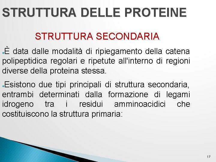 STRUTTURA DELLE PROTEINE STRUTTURA SECONDARIA È data dalle modalità di ripiegamento della catena polipeptidica STRUTTURA DELLE PROTEINE STRUTTURA SECONDARIA È data dalle modalità di ripiegamento della catena polipeptidica