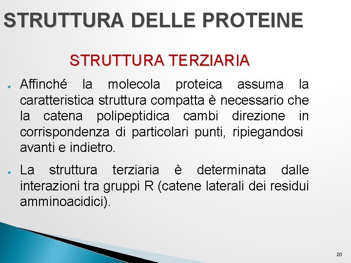 STRUTTURA DELLE PROTEINE STRUTTURA TERZIARIA ● ● Affinché la molecola proteica assuma la caratteristica STRUTTURA DELLE PROTEINE STRUTTURA TERZIARIA ● ● Affinché la molecola proteica assuma la caratteristica