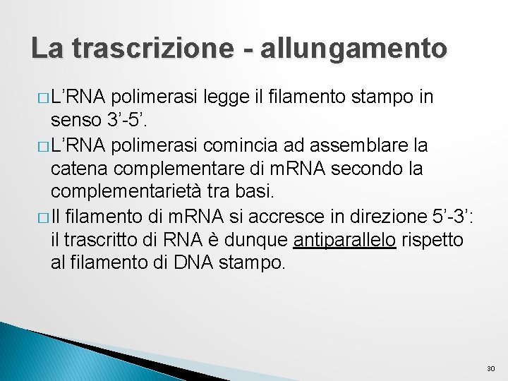La trascrizione - allungamento � L’RNA polimerasi legge il filamento stampo in senso 3’-5’. La trascrizione - allungamento � L’RNA polimerasi legge il filamento stampo in senso 3’-5’.