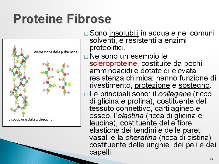 Proteine Fibrose � Sono insolubili in acqua e nei comuni solventi, e resistenti a Proteine Fibrose � Sono insolubili in acqua e nei comuni solventi, e resistenti a