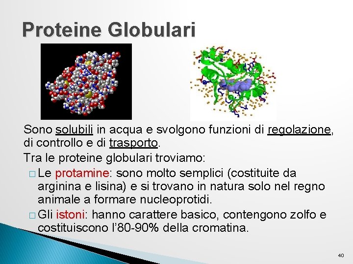Proteine Globulari Sono solubili in acqua e svolgono funzioni di regolazione, di controllo e Proteine Globulari Sono solubili in acqua e svolgono funzioni di regolazione, di controllo e