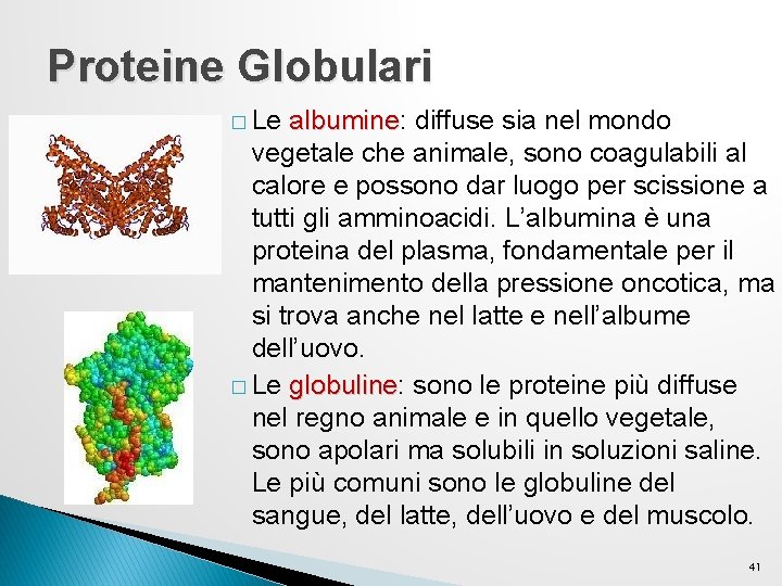 Proteine Globulari � Le albumine: albumine diffuse sia nel mondo vegetale che animale, sono Proteine Globulari � Le albumine: albumine diffuse sia nel mondo vegetale che animale, sono