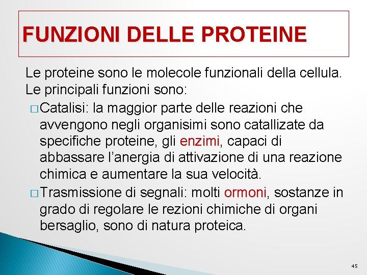 FUNZIONI DELLE PROTEINE Le proteine sono le molecole funzionali della cellula. Le principali funzioni FUNZIONI DELLE PROTEINE Le proteine sono le molecole funzionali della cellula. Le principali funzioni