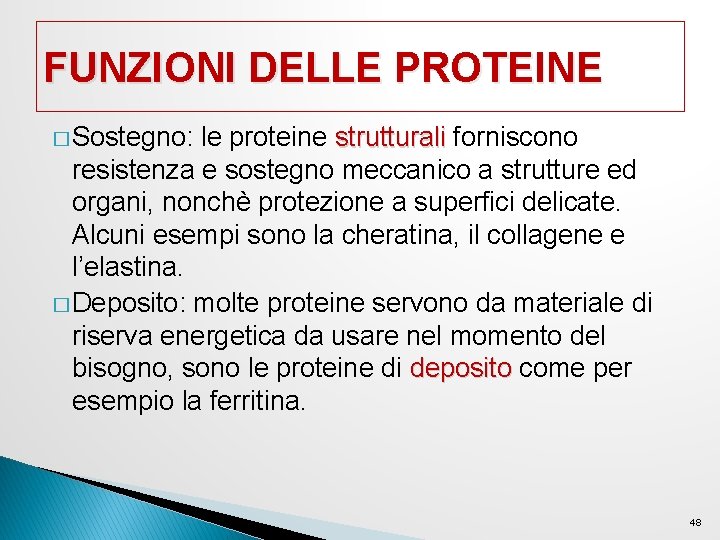 FUNZIONI DELLE PROTEINE � Sostegno: le proteine strutturali forniscono resistenza e sostegno meccanico a FUNZIONI DELLE PROTEINE � Sostegno: le proteine strutturali forniscono resistenza e sostegno meccanico a