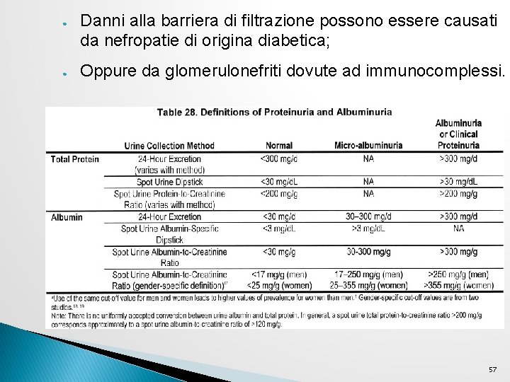 ● ● Danni alla barriera di filtrazione possono essere causati da nefropatie di origina ● ● Danni alla barriera di filtrazione possono essere causati da nefropatie di origina