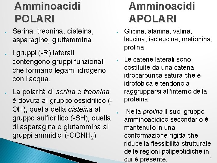 Amminoacidi POLARI ● ● ● Serina, treonina, cisteina, asparagine, gluttammina. I gruppi (-R) laterali Amminoacidi POLARI ● ● ● Serina, treonina, cisteina, asparagine, gluttammina. I gruppi (-R) laterali