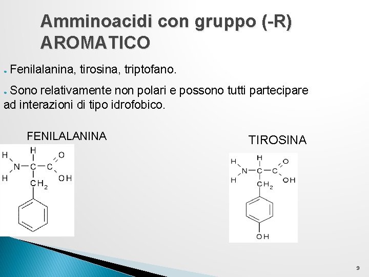 Amminoacidi con gruppo (-R) AROMATICO ● Fenilalanina, tirosina, triptofano. Sono relativamente non polari e Amminoacidi con gruppo (-R) AROMATICO ● Fenilalanina, tirosina, triptofano. Sono relativamente non polari e