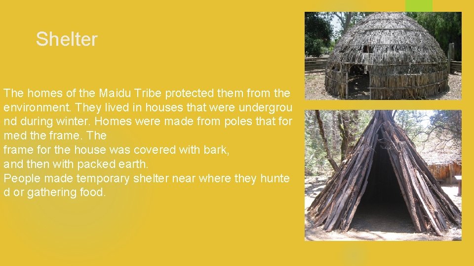 Shelter The homes of the Maidu Tribe protected them from the environment. They lived